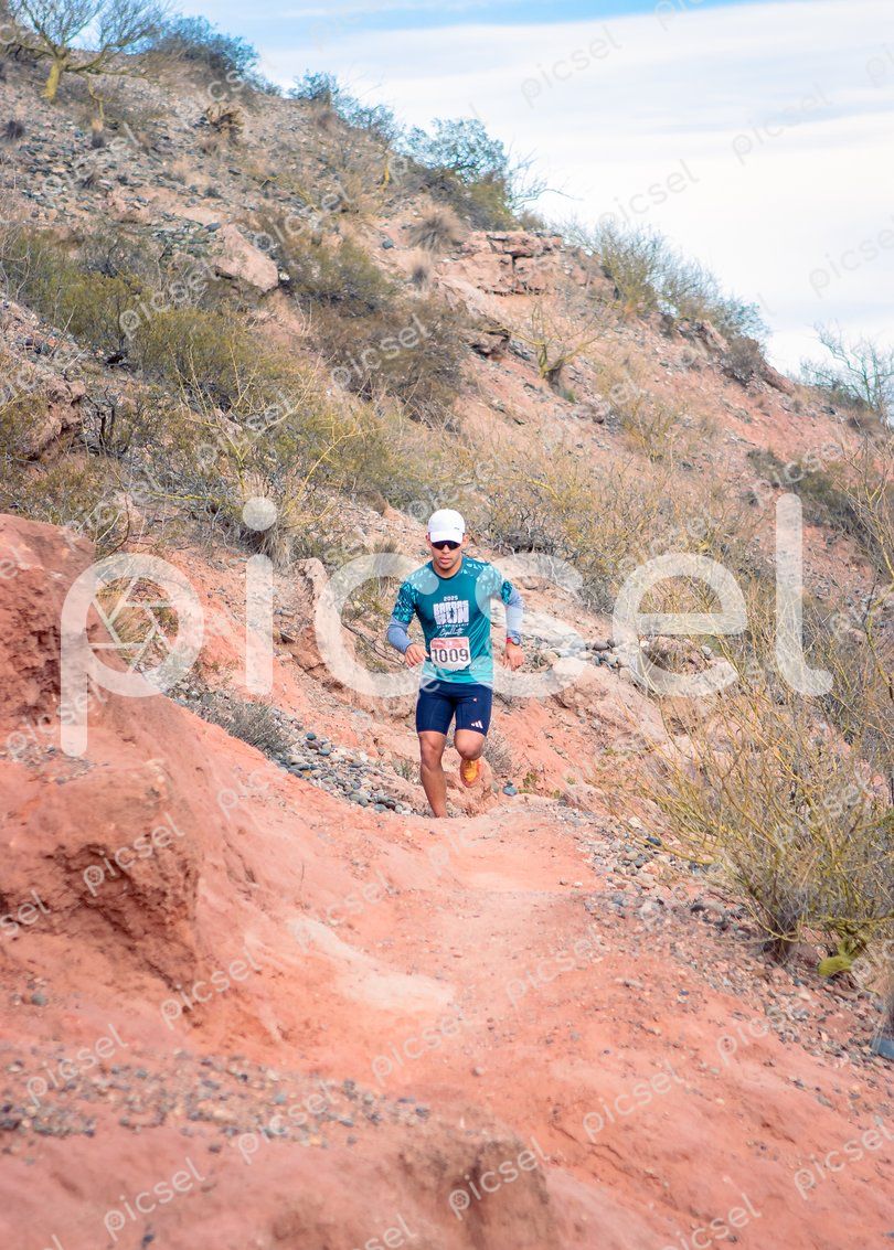 Photo of xr8za2z29uo0osa6ndcgkonb