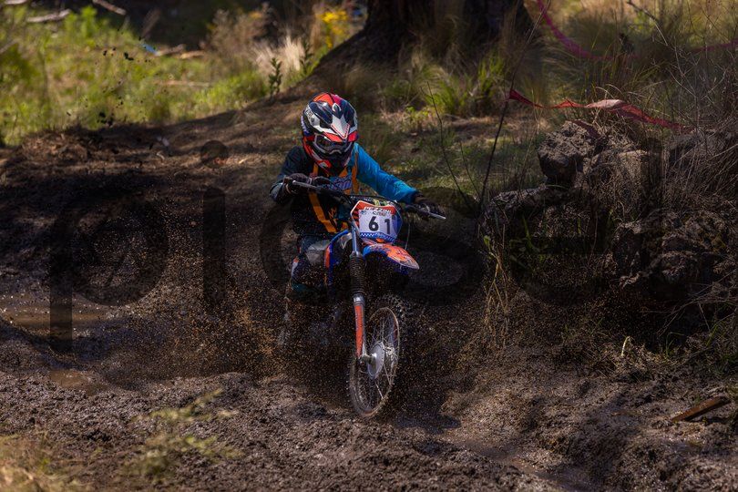 Photo of bf1hyvre7v14mrj8kgujpqyq