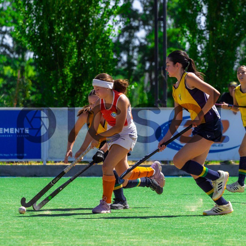 Photo of pw9tzcd7oh0f3d2m8pc5f3br