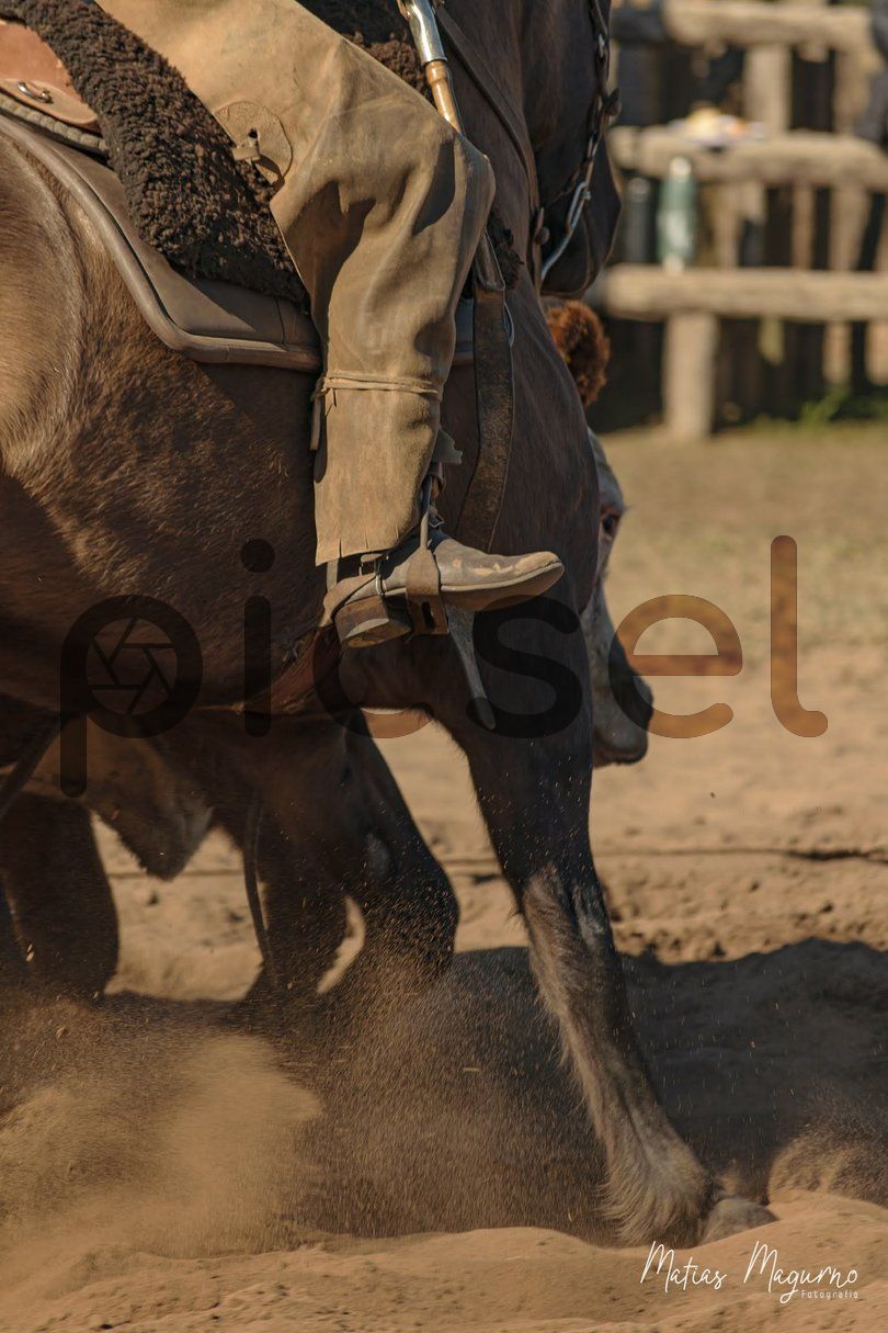 Photo of bqtuqkepm1teagx850cu6k32