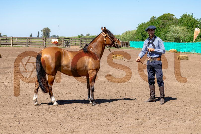 Photo of y4hnqaxvp1ki161lsm2dp8yj