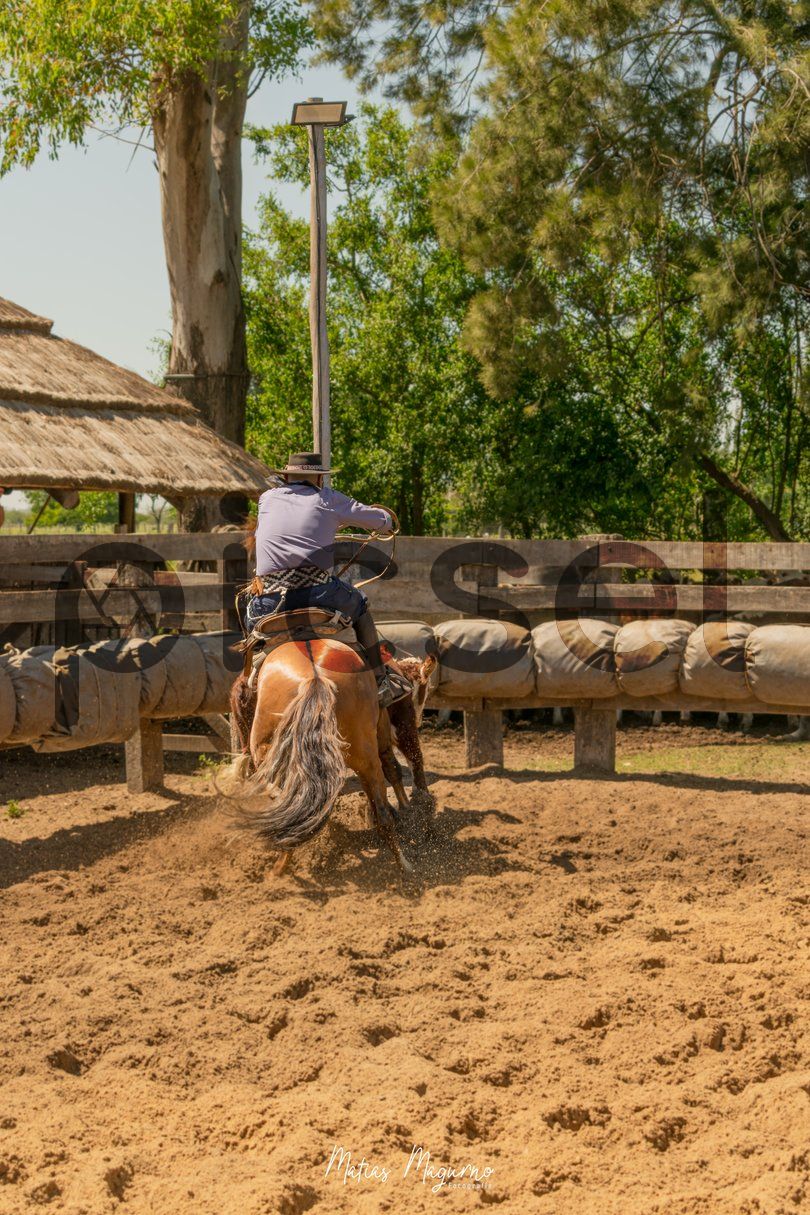 Photo of j7bm7s8i2ap4a3qt6echi509