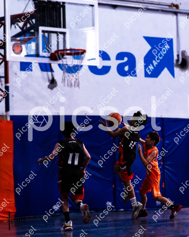 Photo of vqsc3shgvr8e8l8clbce1pt1