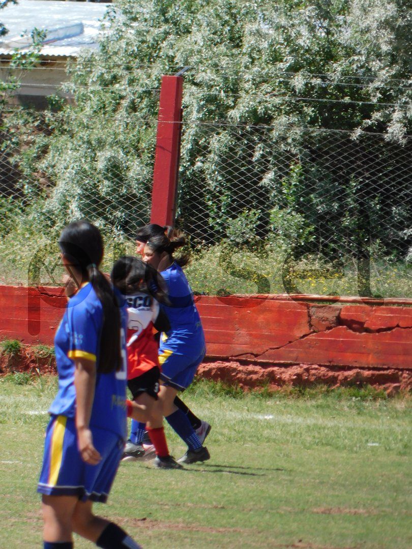 Photo of xysfyf5gxlzcdm6y7kiesddh