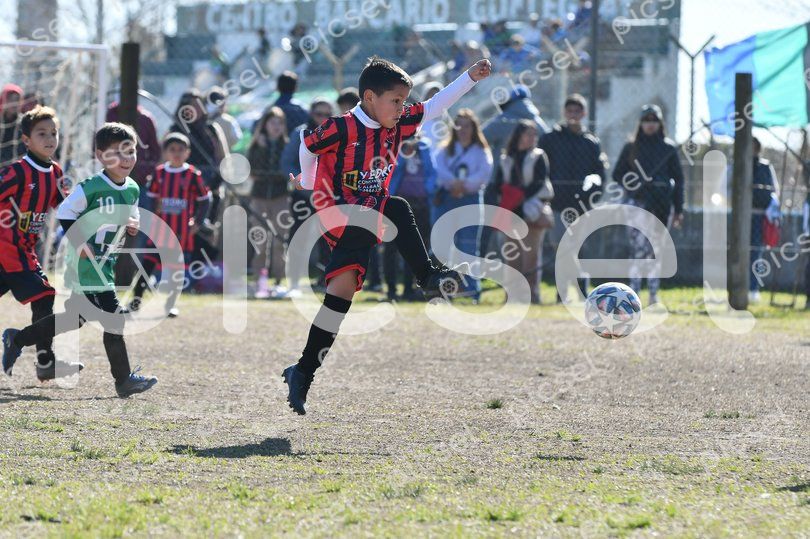 Photo of oc4pooh7dm7eadr537wcie23