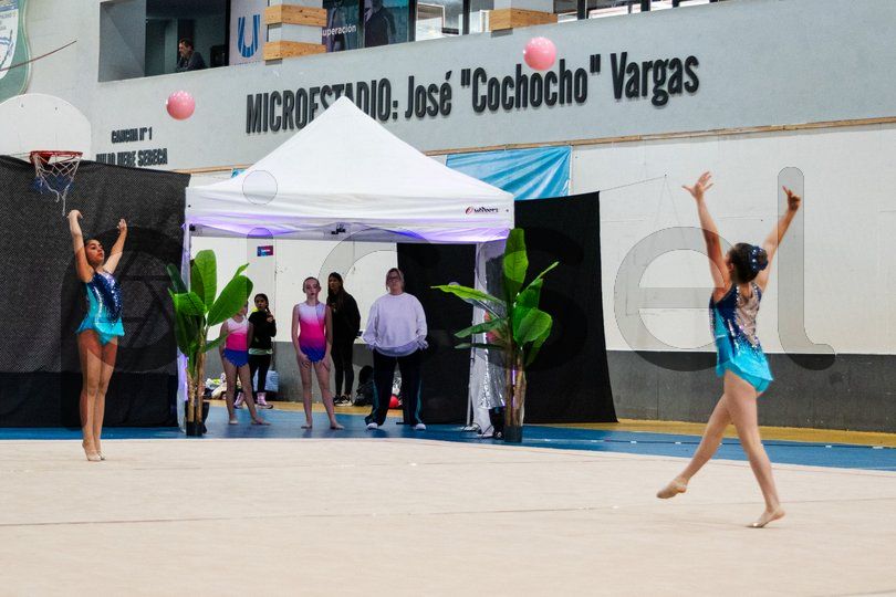 Photo of zl8kly64rig3jgujkrpvx9ce