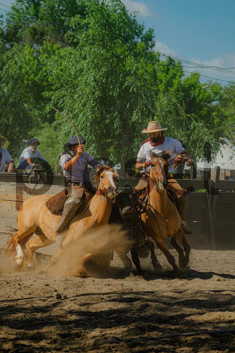 Photo of lsq1wv7qpf4f31hrr1385x9s