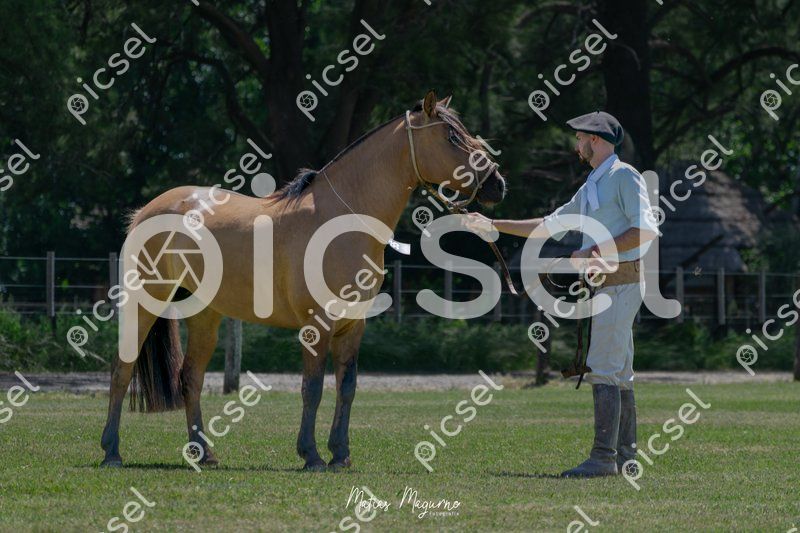 Photo of gilt5pdqjx8lvlqmd2orck6v