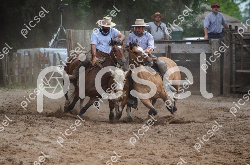 Photo of ydouf02r3ck0w2qbye520y0g