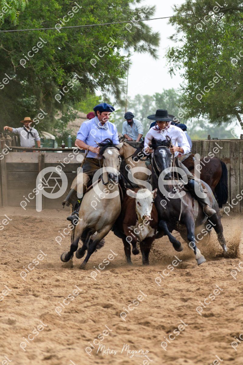 Photo of p7sv5lxhcmqgh9149zvrkrw6