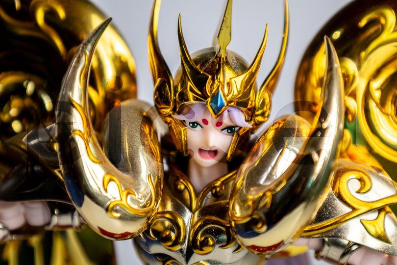 Photo of in7ym6ggbl6xubk8nvplu12p