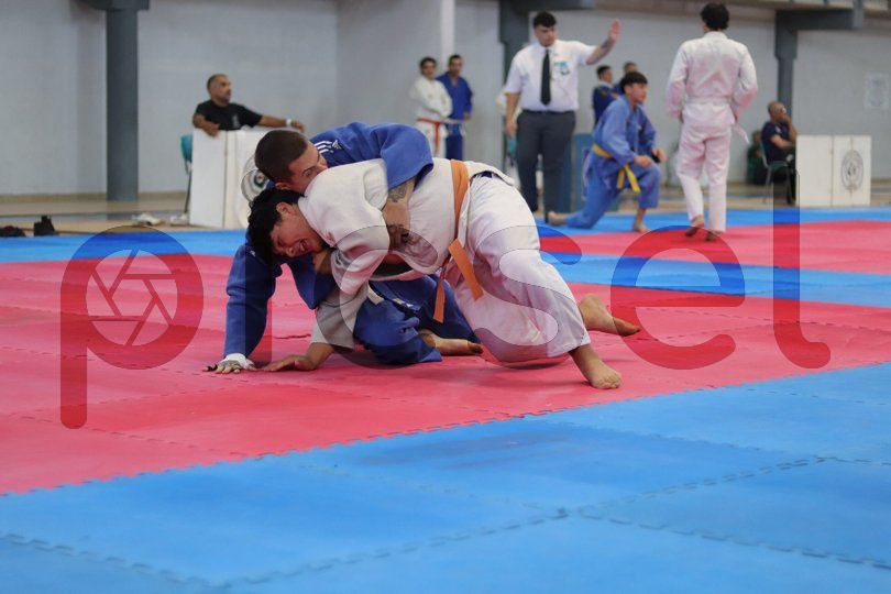 Photo of s7tat2y29jks33dgoig3e61v