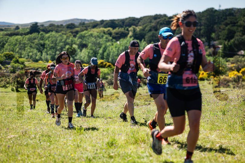 Photo of wd8apk0ynk4p3ainny496atd