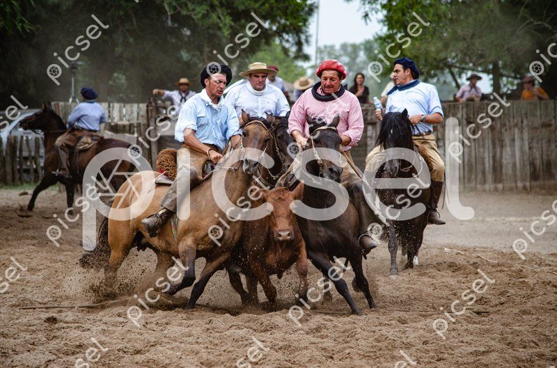 Photo of p7o2b3iuiujwhddjqjwx307k