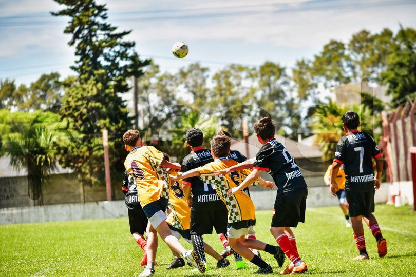 Photo of xval2rpqypgvjwv88n40jh1m