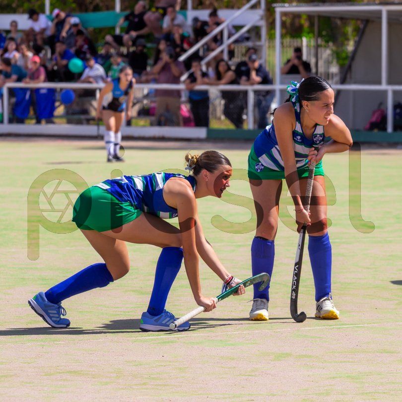 Photo of y7rph9a6f0wqdpvwexpeq0za