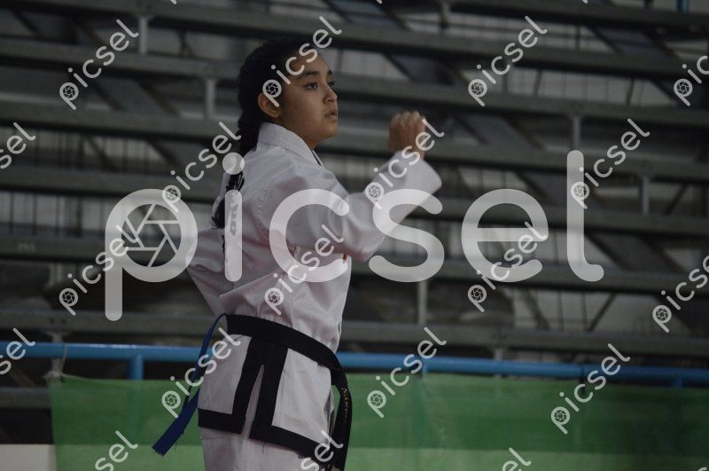 Photo of vo86oprdhu3fkjgk5dn4c17p