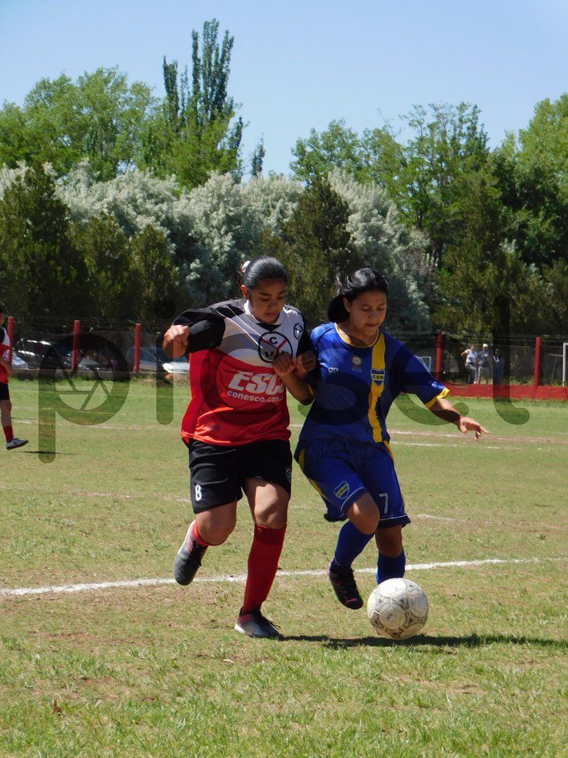 Photo of tg991gjr528g7lybbyog8ugp