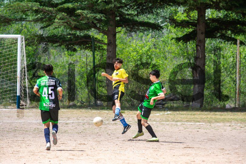 Photo of pmpjco76v2ede03dyh7fq8hs