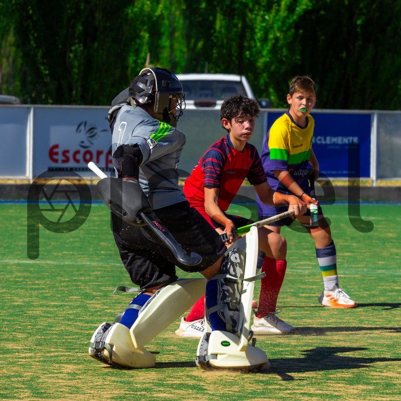 Photo of d5ikzajabsapu4m2e7al4k9p