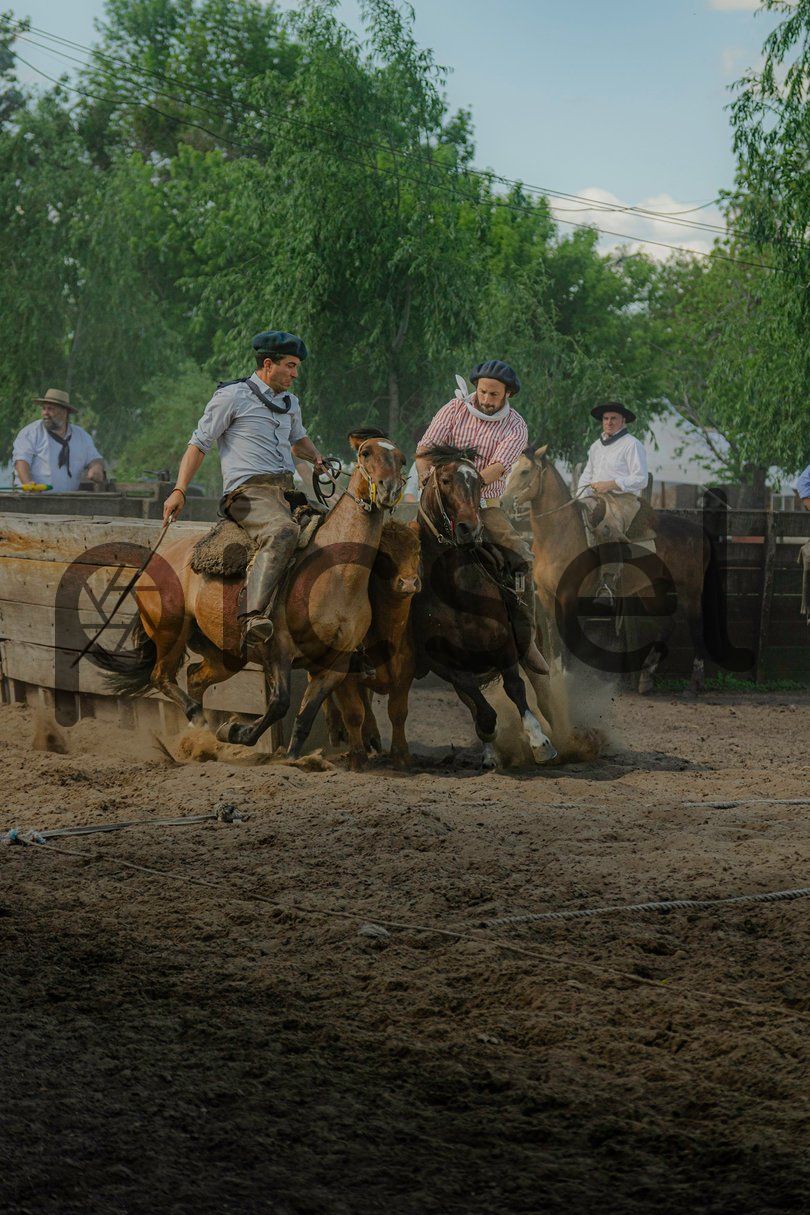 Photo of la1bki2v6yohp7wnsfypvd9t