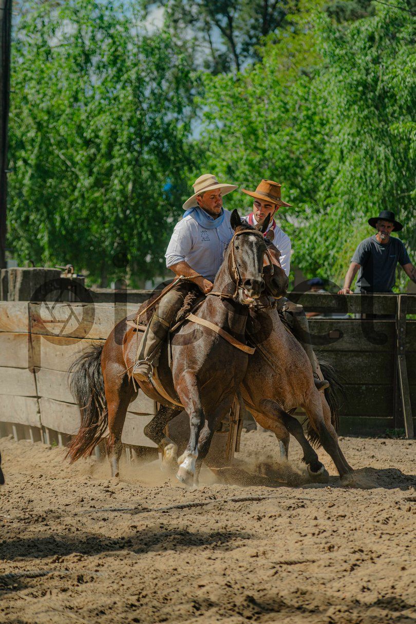 Photo of fmor8hw8rglklyj0egl92ava