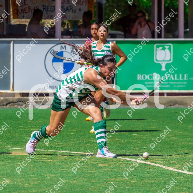 Photo of inltlpzerye4q69iesj6fncz