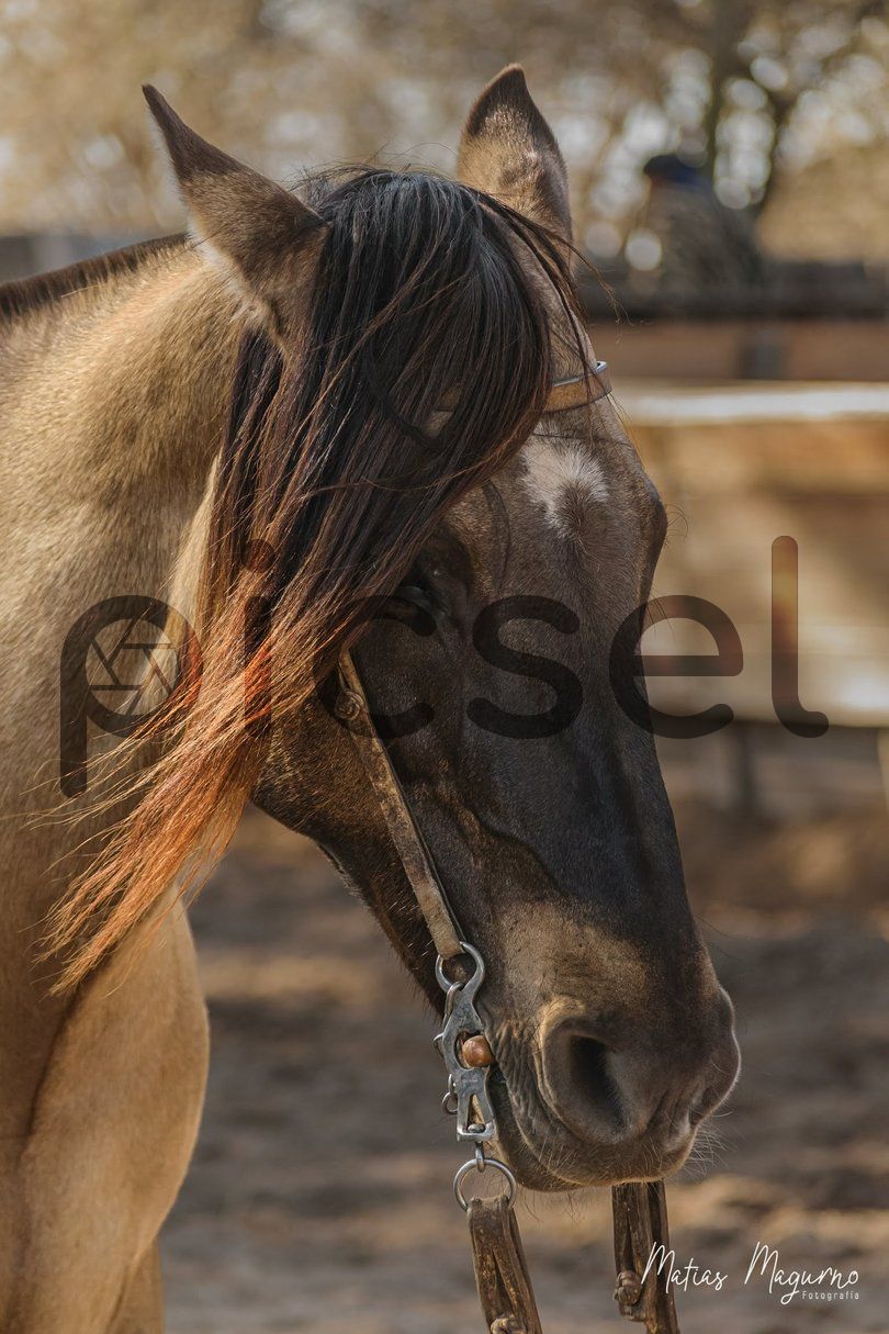 Photo of wqj5f0btyz4z9jqob7jvbpxt