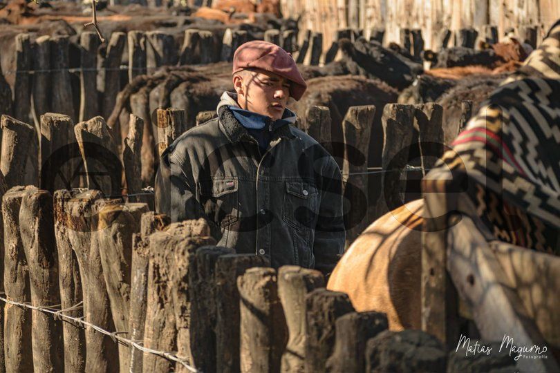 Photo of cw62ukvwablh5gjtzfrqwi8j