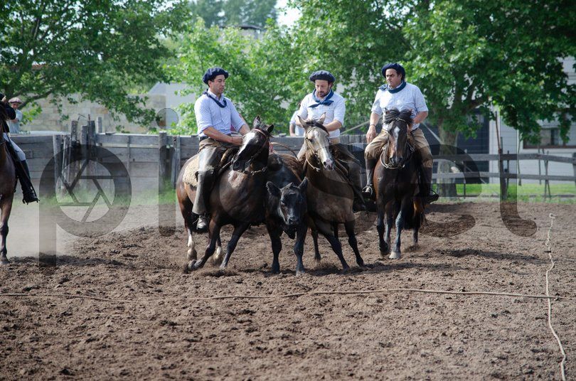 Photo of ilwolp6s1ttg1pzvd5n5bul1