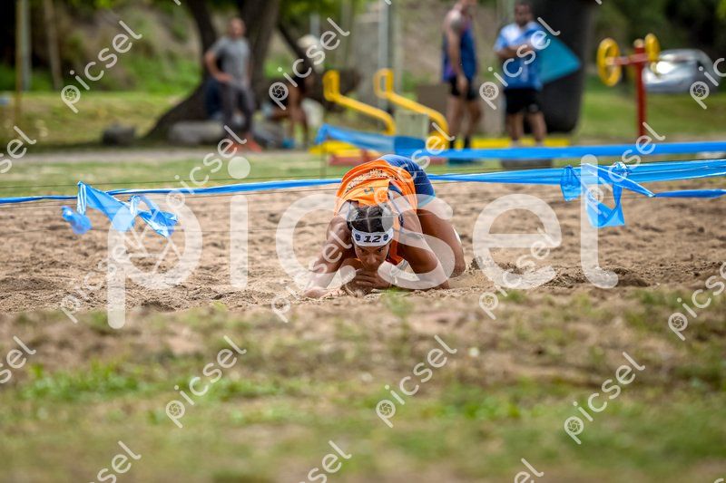 Photo of apku534blltwde3biesnnnhl