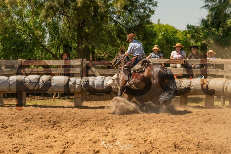 Photo of awwq8di7bxply7312rjt8fbu