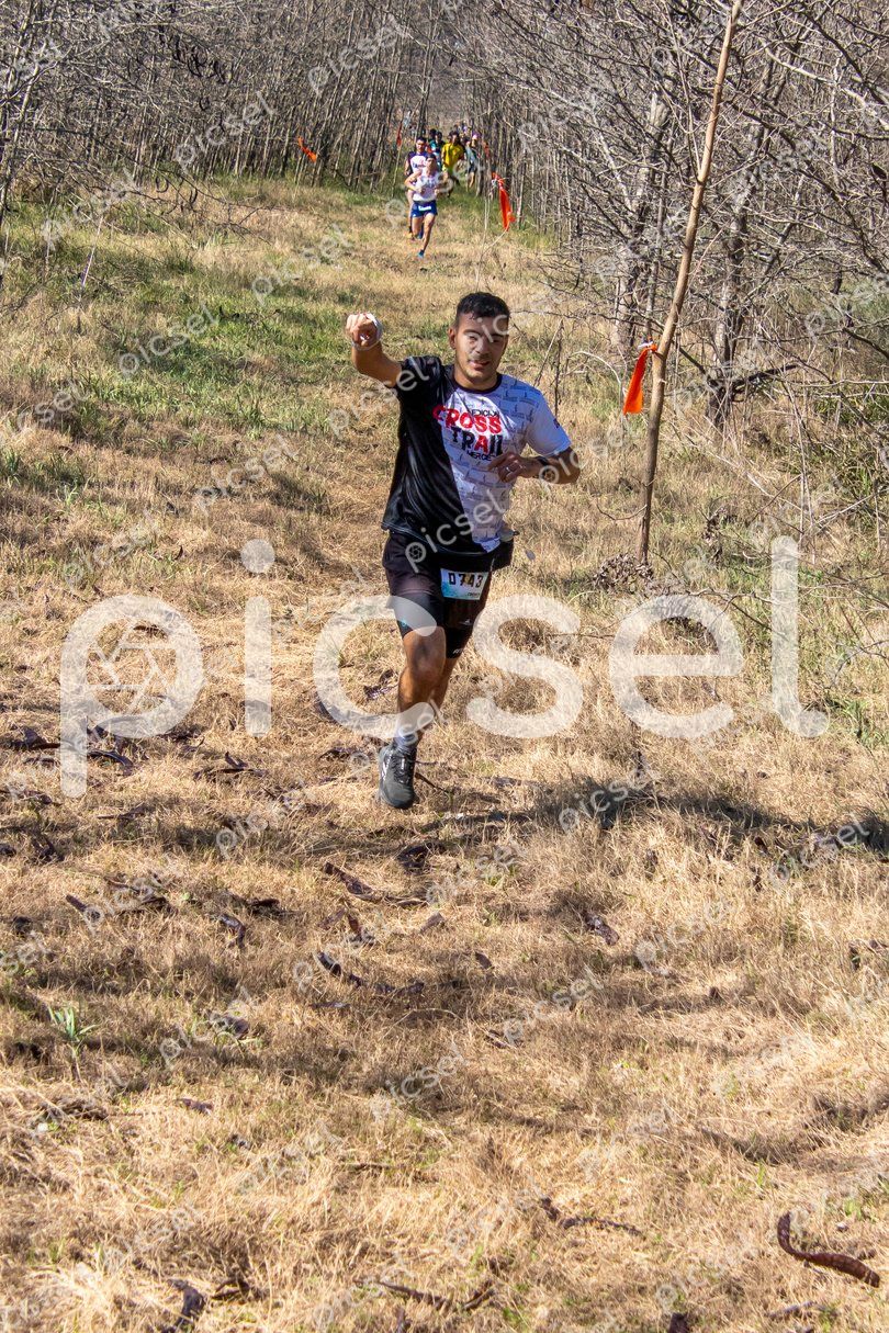 Photo of irnswoh17lr2imvcml873gzk