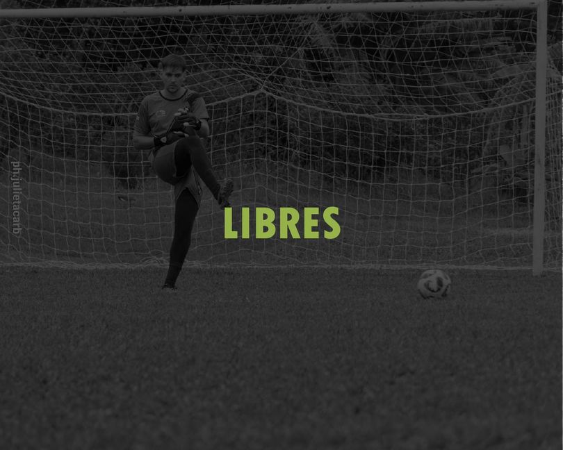 LIBRES. (ARQ VS PROF)