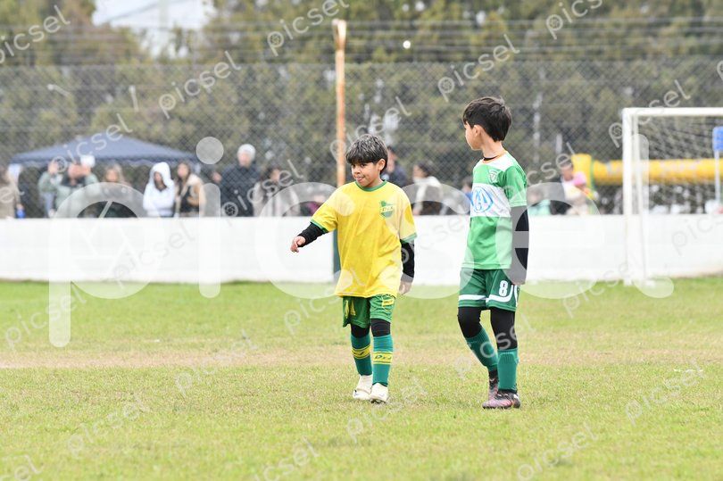 Photo of f2uh77xuj38dfdmpqbtms1bk
