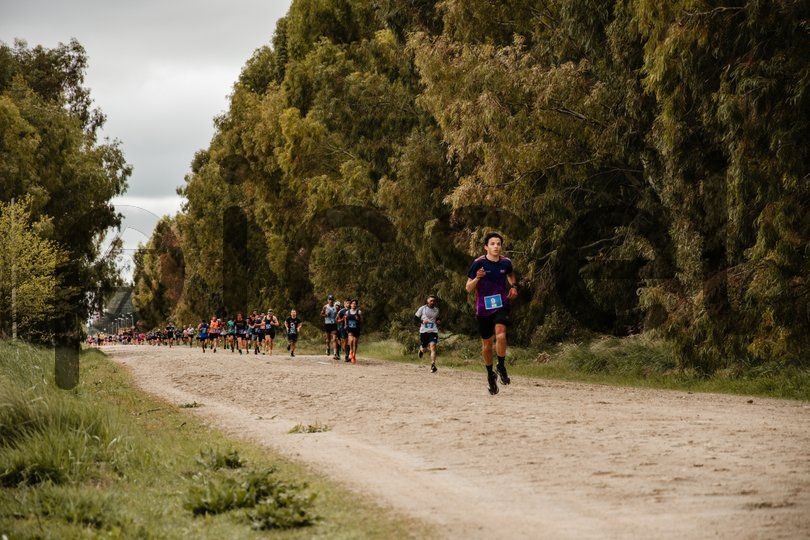 Photo of yp8g04j5se4eybzvlte28azl