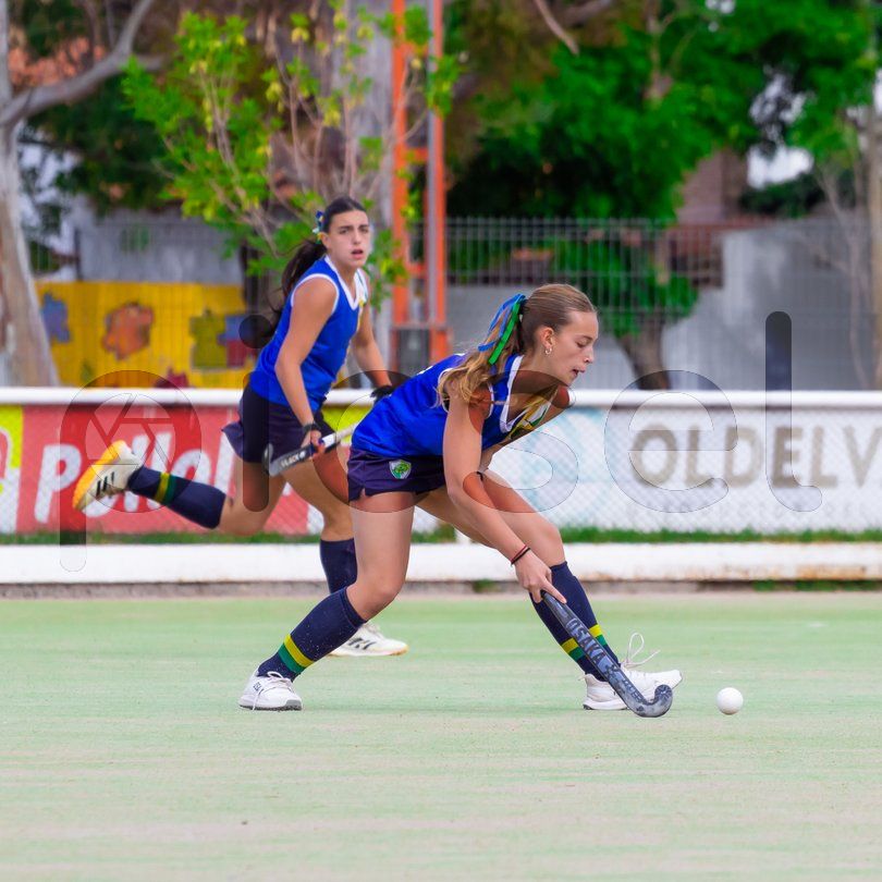 Photo of z2gl74pch5to2vd2ug7l0vck