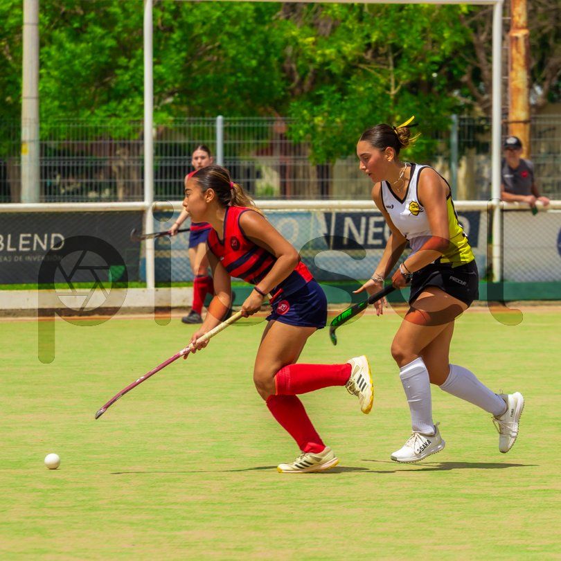 Photo of isfdhngb02z8q1ttygpan26v