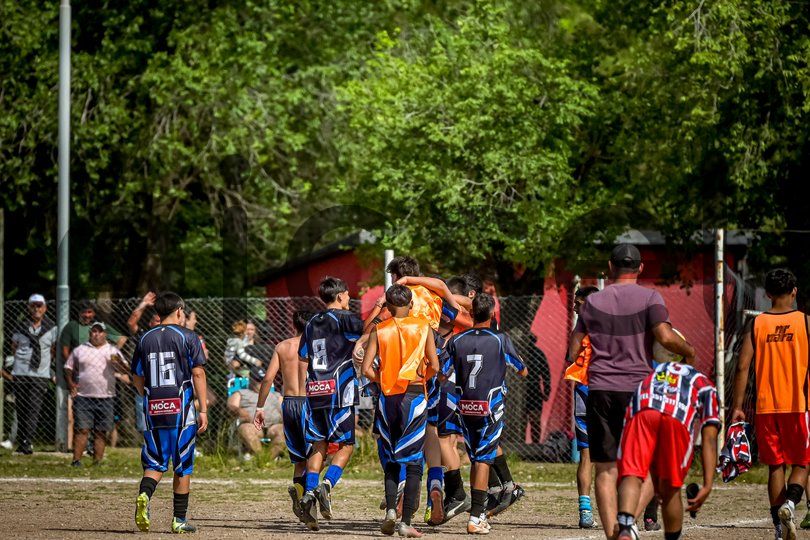 Photo of o61eh208qtx8hn1h3fs6jqrj