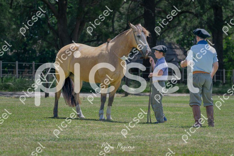 Photo of lvy9i3qi4g42bt6sbolsj7tx