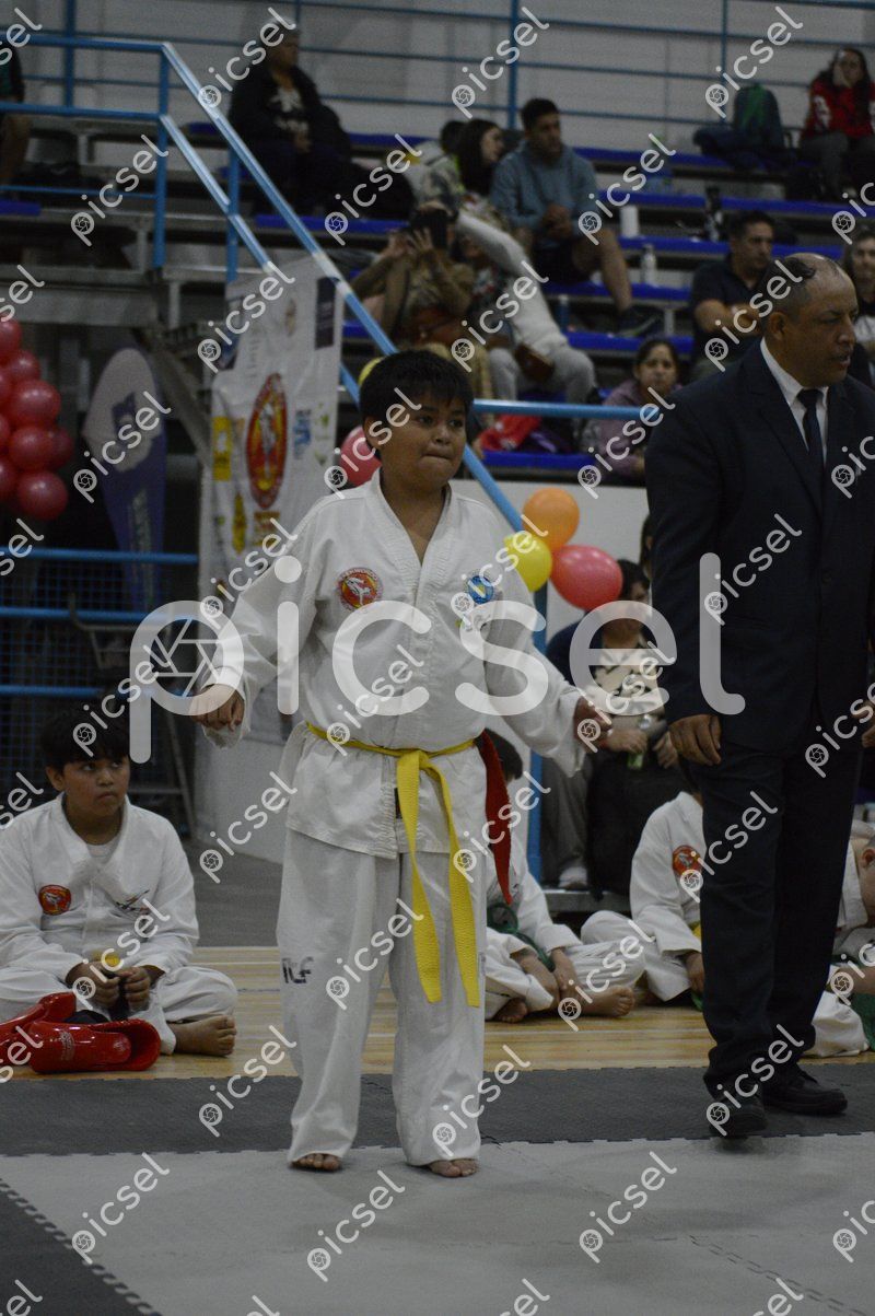 Photo of b50s74idqoyexjmyzniil6qh