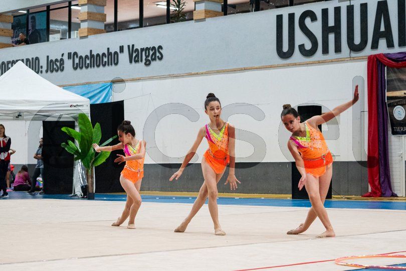 Photo of bz2wu11w7hcd9eb9e5eck58s