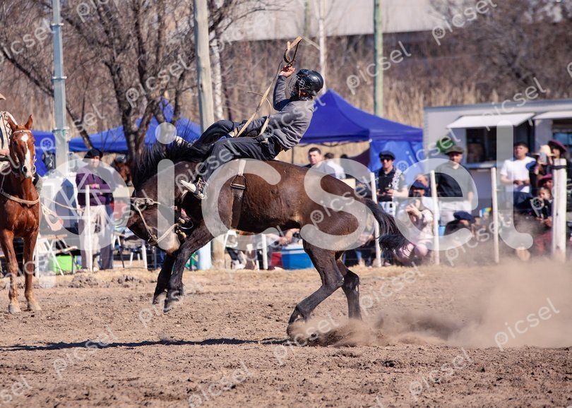 Photo of bxo24xjdw877ugm89lp1059d