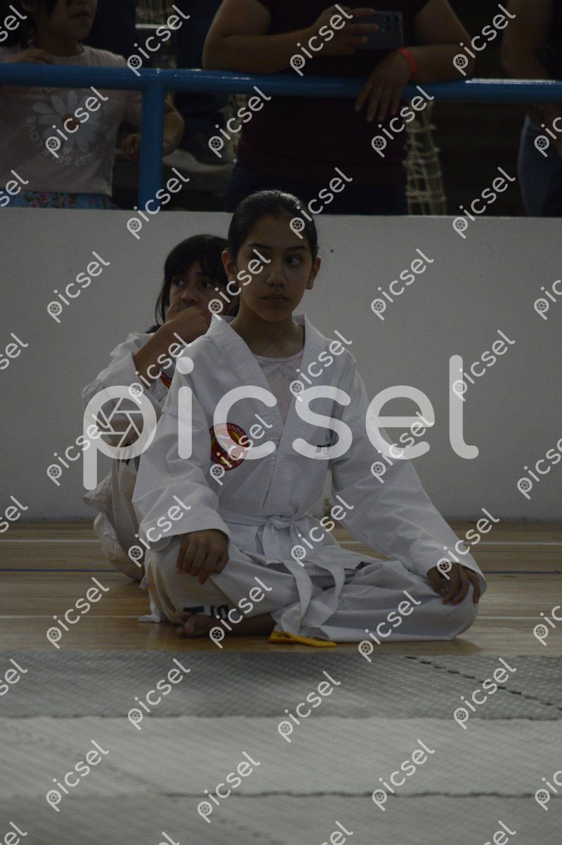 Photo of nmo70zp7n0hvjan08y2tf5zy