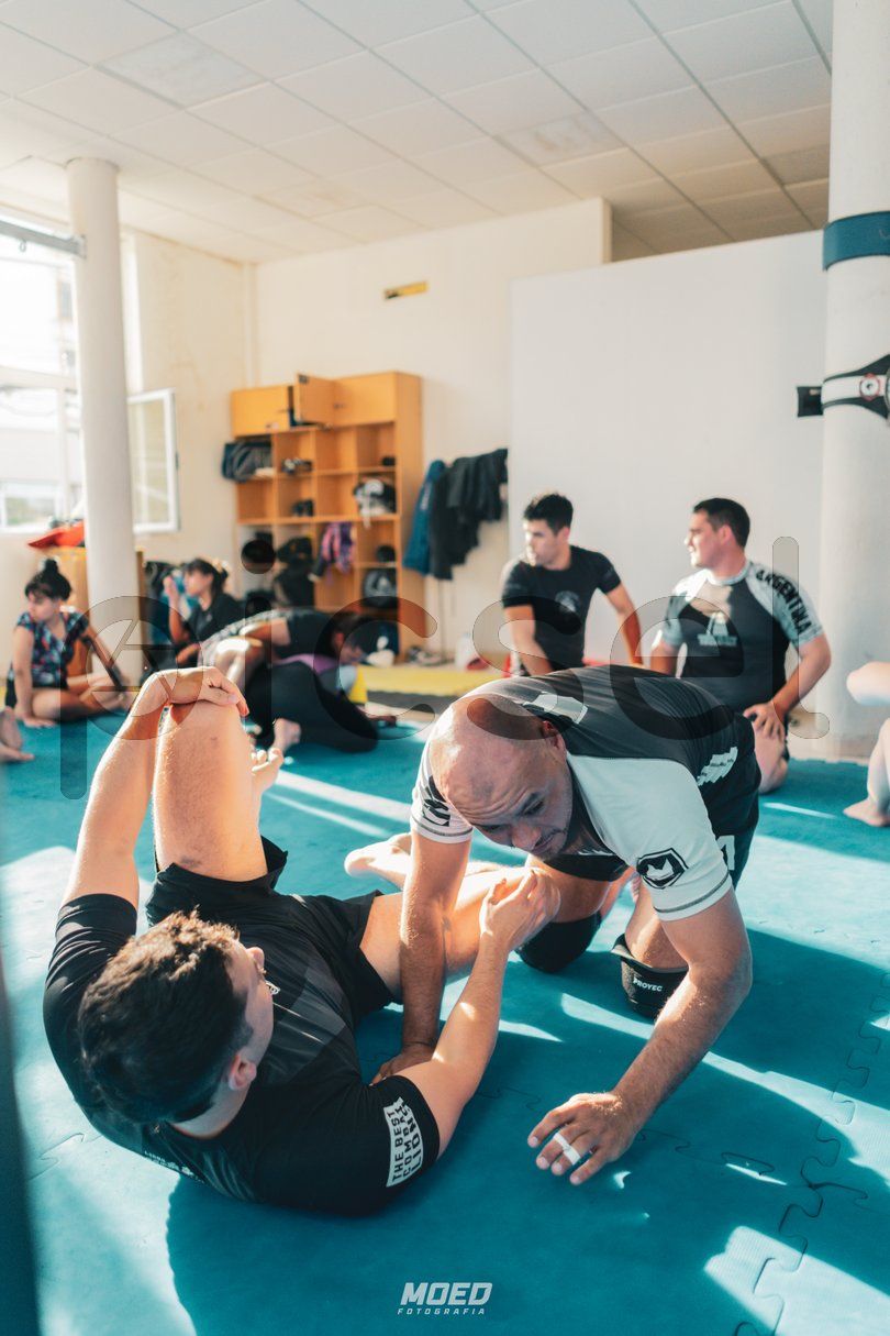 Photo of dhz94yq6flwrtqq4n2y3x8lq