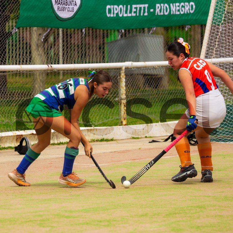 Photo of gcra77q20utmoubcbdaw4vip