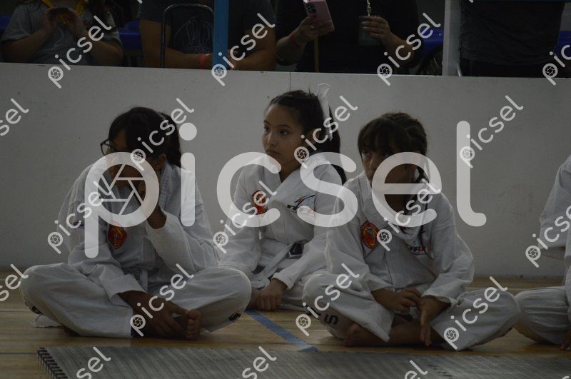 Photo of f5f9vvc022c57vwqv4exz32s