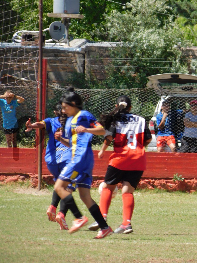 Photo of l1lf1z22hs9vvpadw0h41n0e