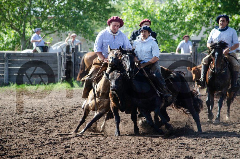 Photo of wksw1j7xlpn86x52roh4tfha