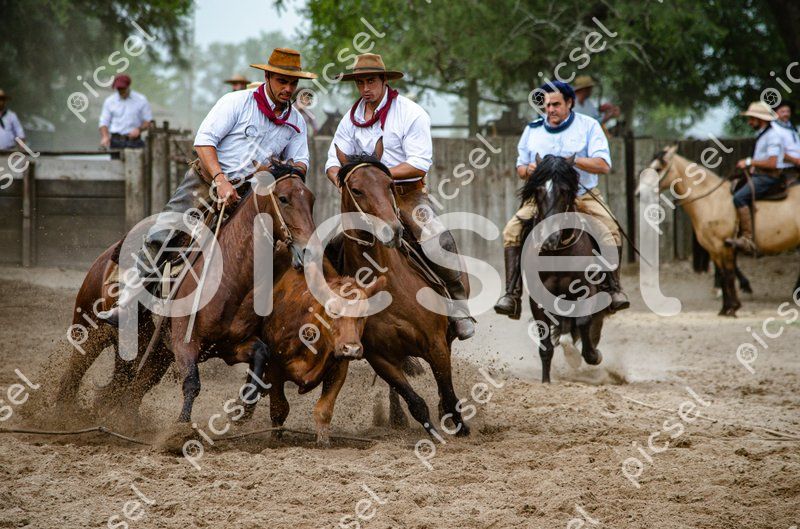 Photo of oe3qckytg8tv6phoyzbxyza8